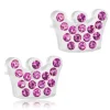 Örhängen Brilliance Princess Rose 15‑01125‑03>Blomdahl Outlet