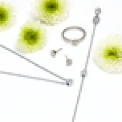 Örhängen Brilliance Plenary Crystal 5 mm 15‑12166‑01><noscript><img width=