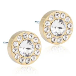 Örhängen Brilliance Halo Crystal 15‑1365‑01>Blomdahl Best