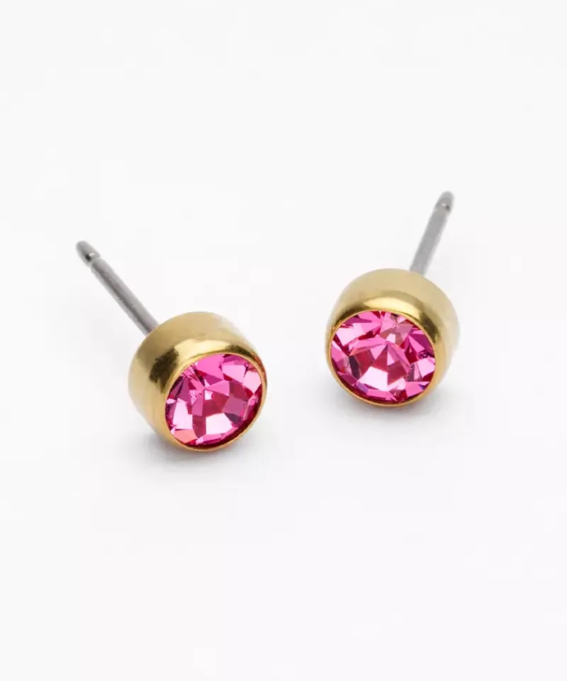 Örhängen GT Bezel 5 mm, Rose 15-1324-03>Blomdahl