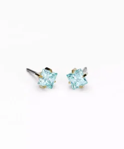 Örhängen GT Tiffany Edge 5 mm 15-1304-305>Blomdahl Discount