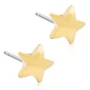 Örhängen Star 8 mm 15‑1322‑00>Blomdahl Discount