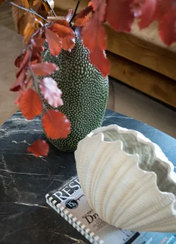 – Vase Shell><noscript><img width=