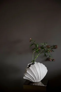 – Vase Shell><noscript><img width=