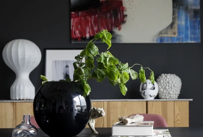 – Vase Shell>By On Best