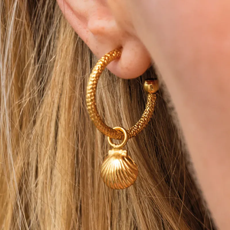 Shell Loops Örhängen / (Guld)>Caroline Svedbom Discount