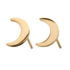 Bright Night Studs Guld (106458)>Edblad Hot