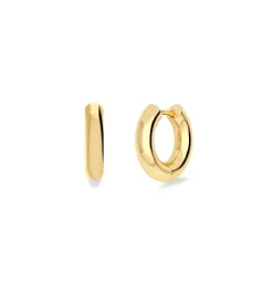 Chunky Örhängen Guld – 126634>Edblad Sale