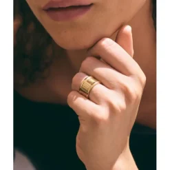 Frame Ring Guld><noscript><img width=