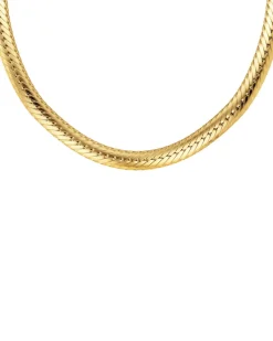 Hera Chain Halsband – Guld>Edblad New