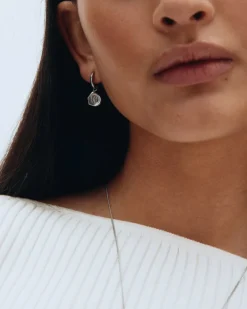 Holly Hoops – Stål><noscript><img width=