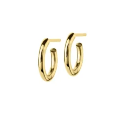 Hoops Örhängen Guld Små (105868)>Edblad New