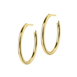 Hoops Örhängen Guld Medium (105867)>Edblad Best