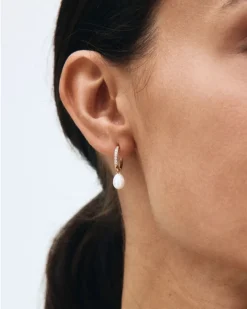 Perla Hoops Sparkle – Guld>Edblad Online