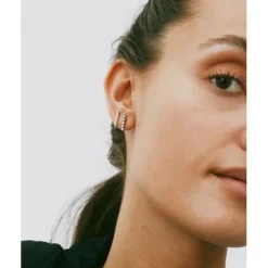 Twiggy Studs Örhängen Stål>Edblad