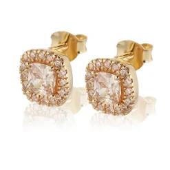 Gynning Jewelry Glamorus örhängen studs – champagne – Guld>Carolina Gynning smycken Online
