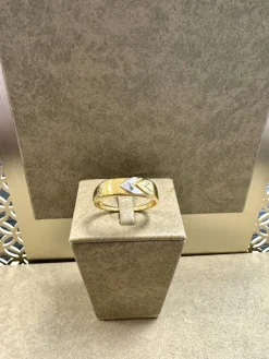 18K Guld + Vitguld Klackring – KLR010G18> New