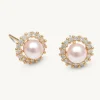 Colette Pärl Stud Örhängen – Rosaline (Guld) 65091>Lily And Rose Outlet