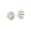 Miss Sofia Örhängen – Light Amethyst (Guld) 61069>Lily And Rose Clearance