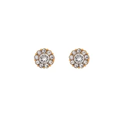 Örhängen Petite Miss Sofia Crystal (Guld) 62291>Lily And Rose