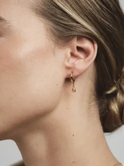 Belle Hoops Örhängen Guld – Champagne><noscript><img width=