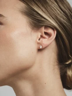 Belle Studs Medium Guld><noscript><img width=