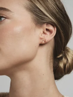 Belle Studs Örhängen Medium Guld – Champagne><noscript><img width=