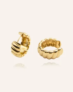 Curved Ribbed Örhängen Guld>Mockberg New