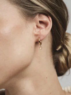 Jolie Hoops Örhängen Guld – Champagne><noscript><img width=