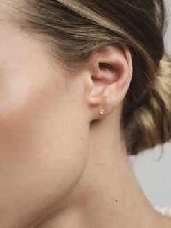 Jolie Studs Örhängen Small Guld – Champagne><noscript><img width=