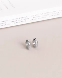 Ribbed Örhängen Small Silver><noscript><img width=