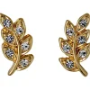 PILGRIM Imogen Örhängen Guld 601632083>ÖRHÄNGEN Discount