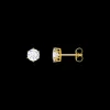 Örhängen Guld H2301-414-14>Thomas Sabo Discount